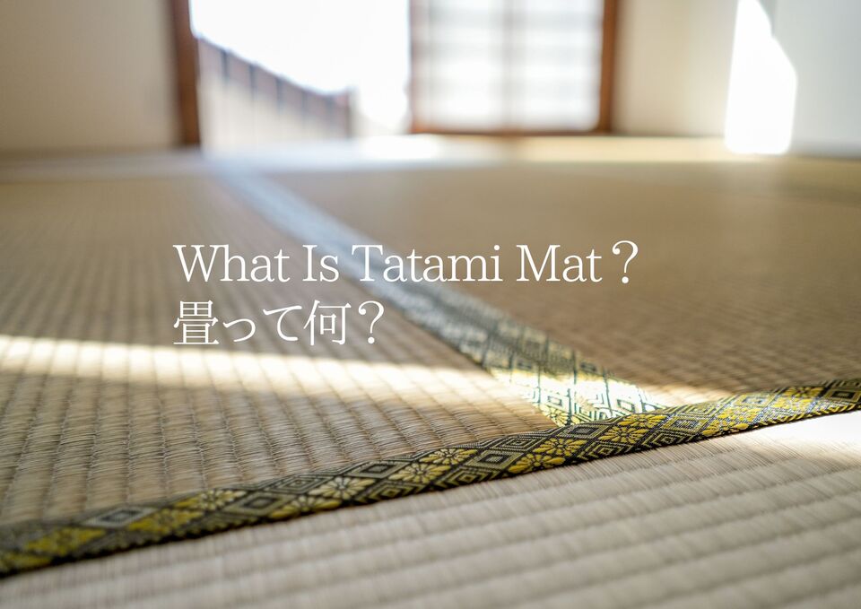 畳って何？初めてでもわかる基礎ガイド